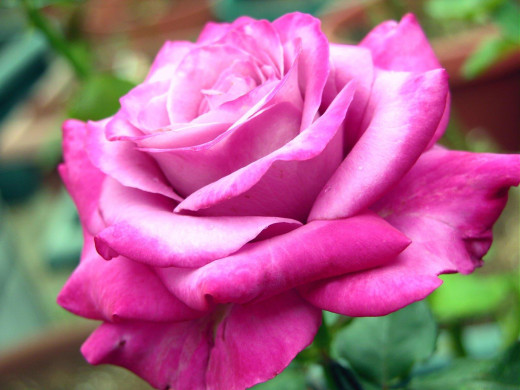 422048 (a): :1600x1200